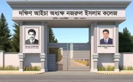 ভোলায় ১০টি শিক্ষা প্রতিষ্ঠানের নাম পরিবর্তন