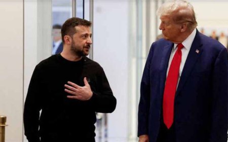 গাজার মতো ইউক্রেন যুদ্ধও থামাতে ট্রাম্পকে অনুরোধ জেলেনস্কির