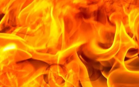 নরসিংদীতে সিসা কারখানায় ভয়াবহ আগুনে দগ্ধ ৭